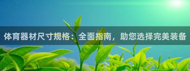 星欧娱乐联最新新闻：体育器材尺寸规格：全面指南，助您